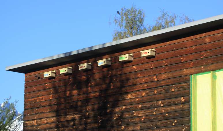 An einem Schulhaus entdeckten die Kinder die Nistkästen von Mauerseglern. (Foto: Pro Natura Luzern)
