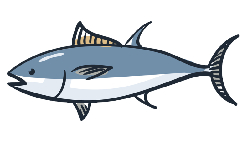 Thunfisch landet sehr oft auf den Tellern der Schweizer. Nur lebt er gar nicht in der Schweiz, sondern im Atlantik und im Indischen und Pazifischen Ozean.